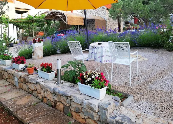 House Marie's Lavander Dream